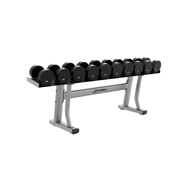 Life Fitness Single Tier Dumbbell Rack