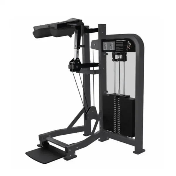 Standing Calf Raise