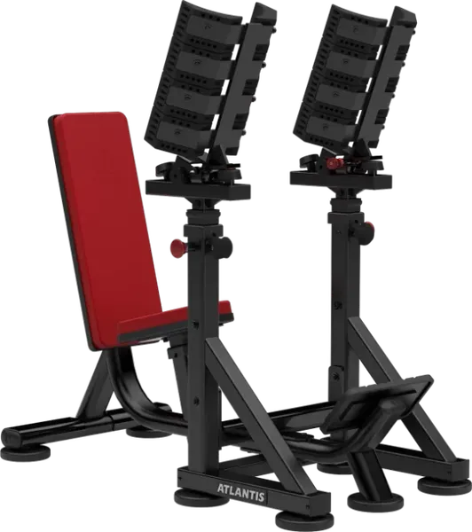 Straight Dumbbell Bench With Pivots