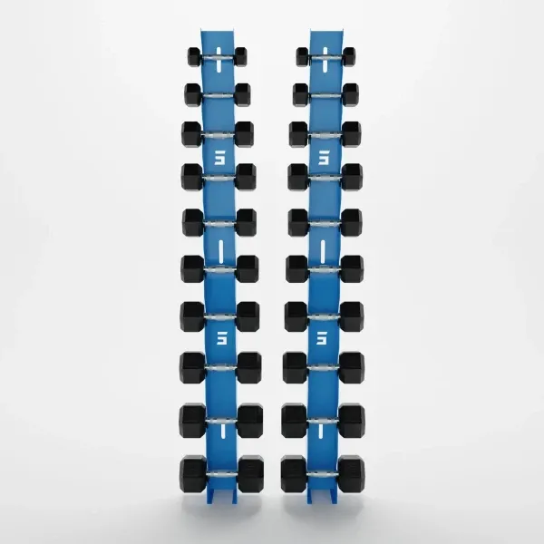 Delta | 10-Tier Vertical Dumbbell Storage Wall/Rack Mount