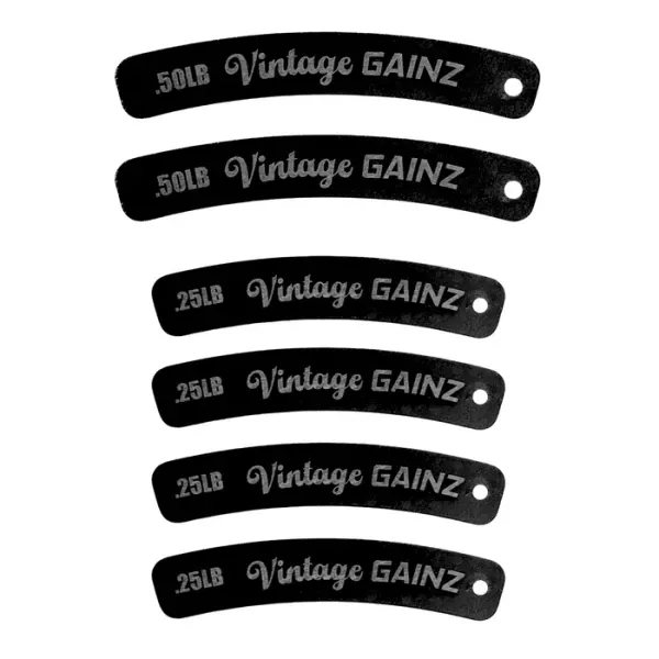 Vintage Gainz 6 Plate Set Magnetic Weight Plates