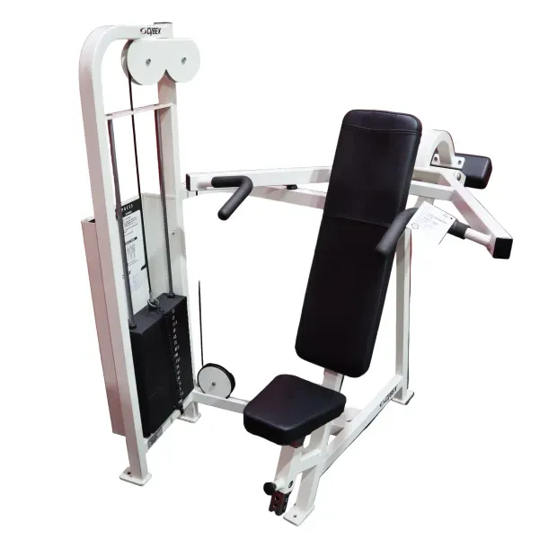 Cybex VR Overhead Press