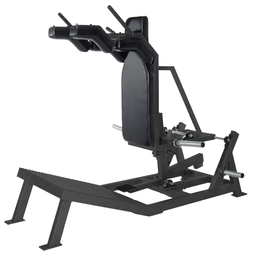 Reversible Squat