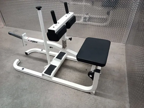 Seated Calf 5450
