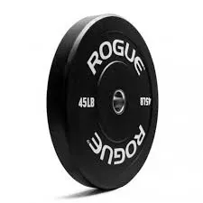Rogue Echo Bumpers V1