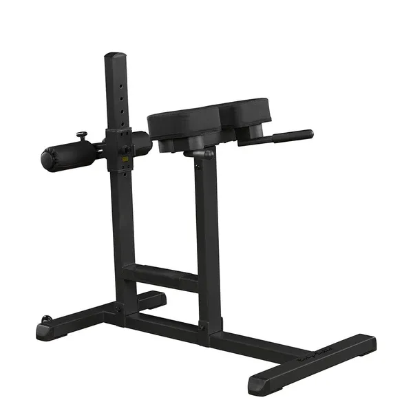 Body-Solid Roman Chair
