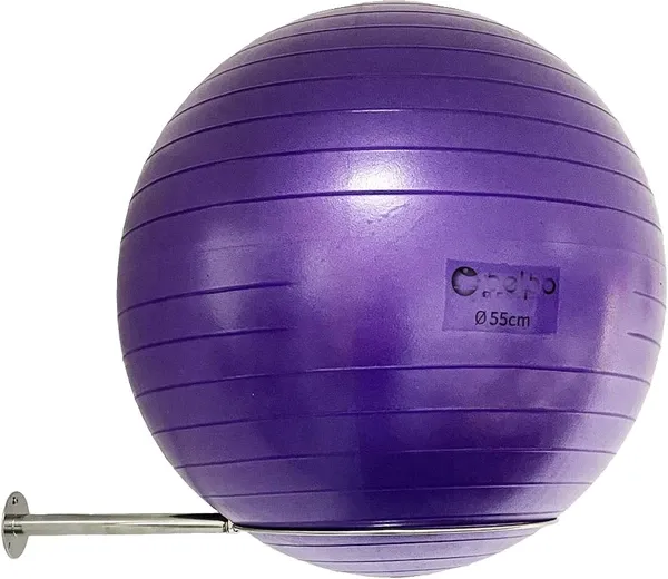 Wall Mounted Stainless Steel Exercise Ball Holder