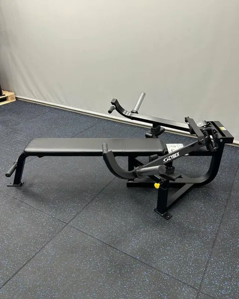 Cybex Advanced Plate Loaded Chest Press