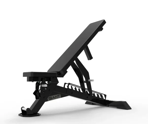 Giant F85 Adustable Bench