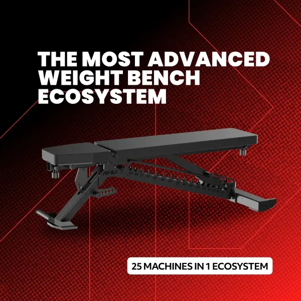Apex Adjustable Bench