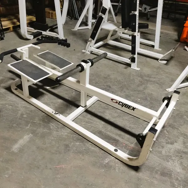 Cybex T Bar Row