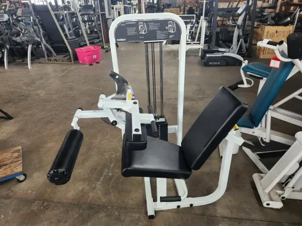 Paramount FL30 Seated Leg extension/hamstring curl