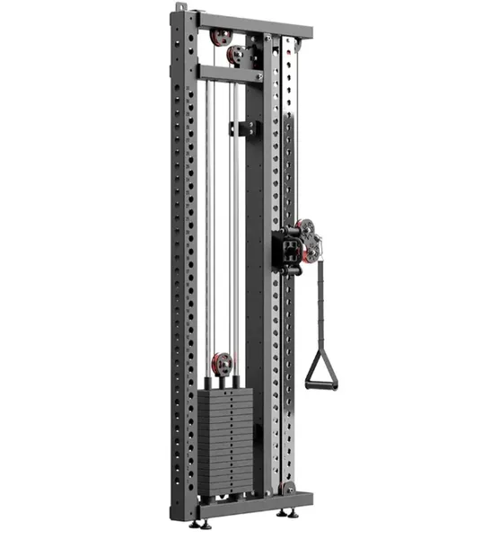 Slim Gym Wall Mounted Functional Trainer