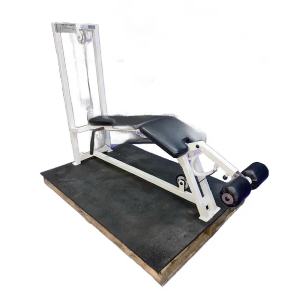 Lying Hamstring curl