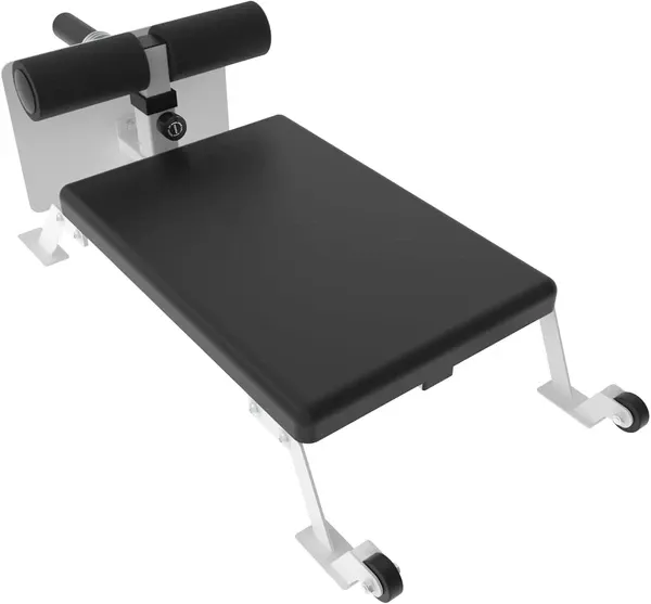 Garvee Nordic Curl