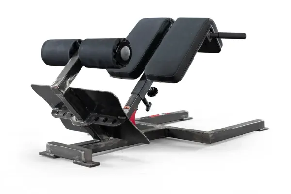 G3 45 Degree Back Raise
