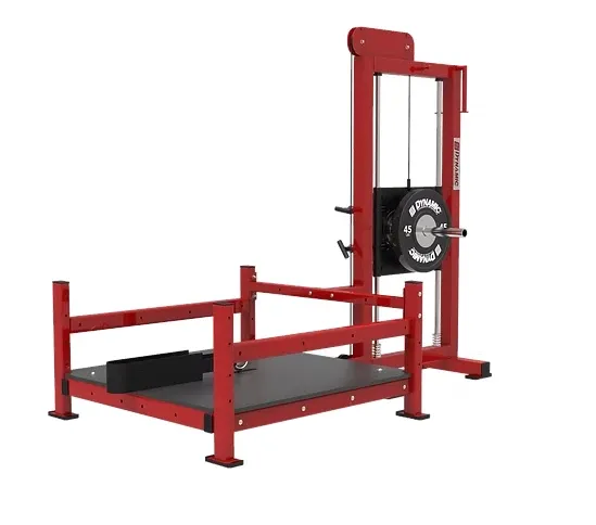 Dynamic Fitness & Strength Belt Squat
