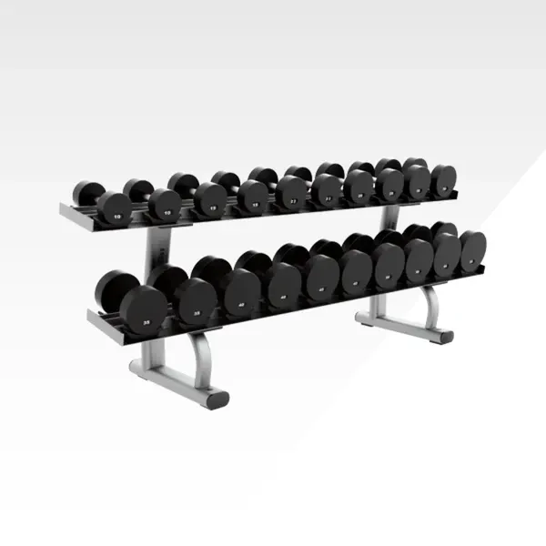 Life Fitness Two Tier Dumbbell Rack