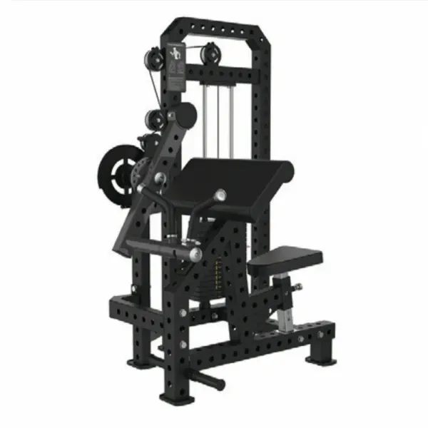 Commercial-Grade Classic Biceps and Triceps Combo