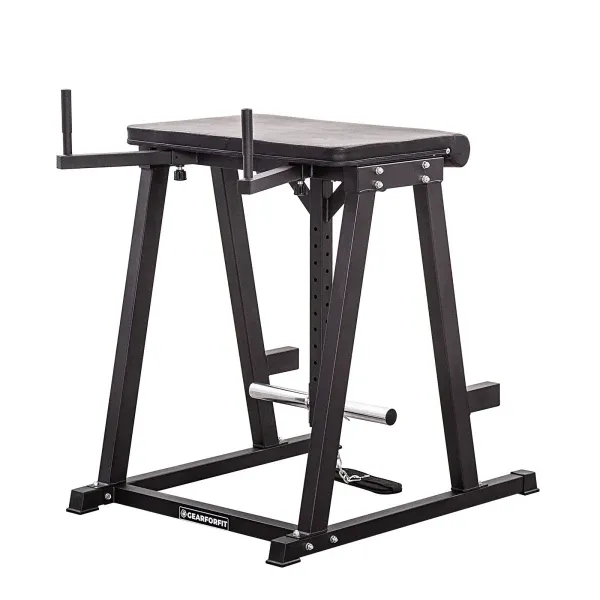GF Reverse Hyperextension