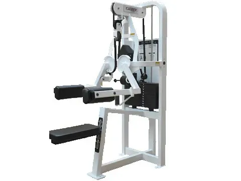 Lateral Raise