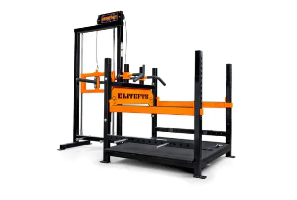 Tiger Belt Squat