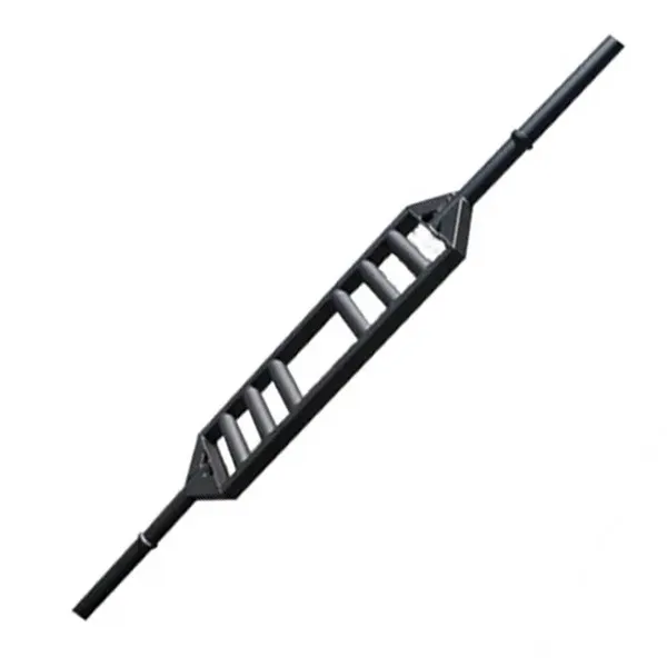 Thick Grip Swiss Bar
