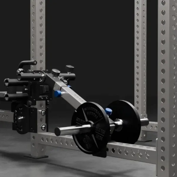 Adjustable weight arm
