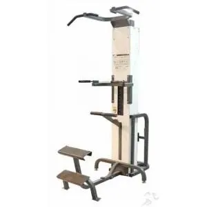Cybex Assisted Pullup
