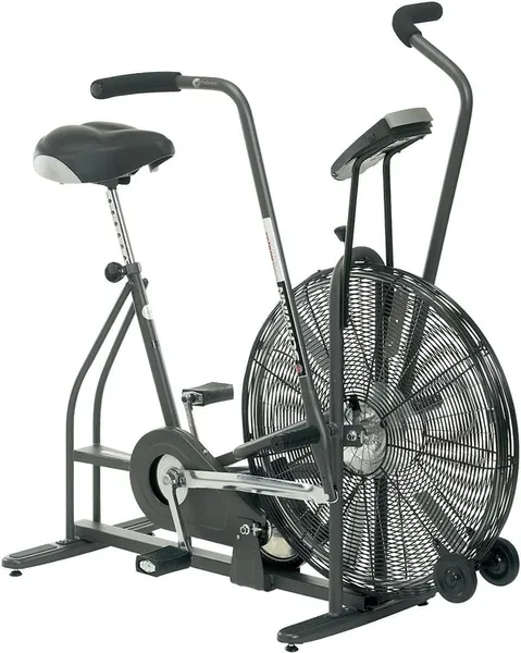 Schwinn Airdyne AD4
