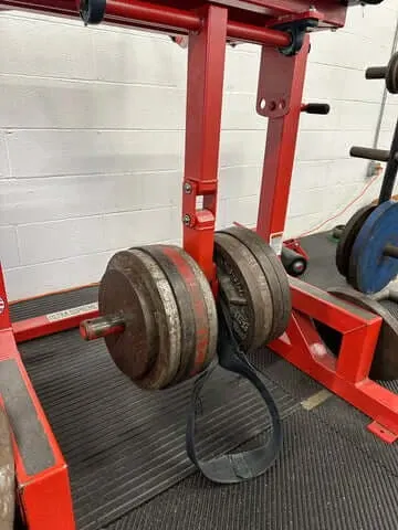 Westside Barbell Ultra Supreme Reverse Hyper