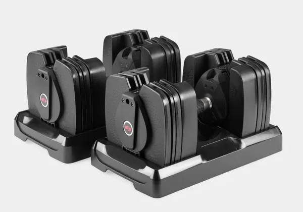 BowFlex SelectTech 560 Dumbbells