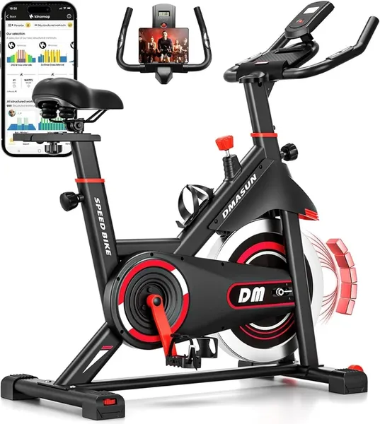 DMASUN Exercise Bike