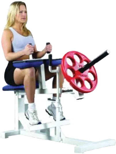 Pro Maxima FW11 Seated Calf