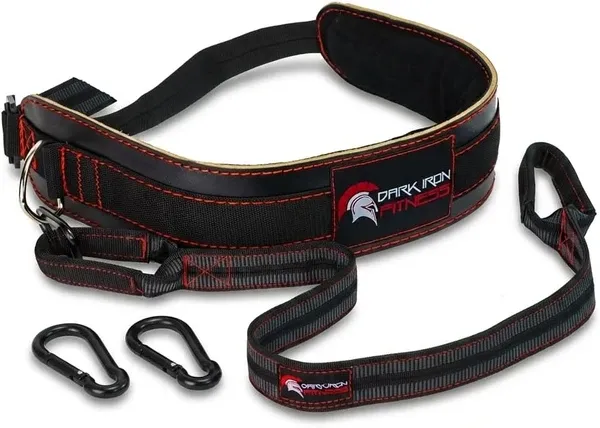 Dark Iron Fitness Dip Belt