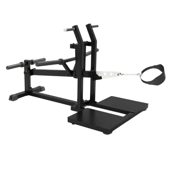 Belt Squat - Plate Loaded