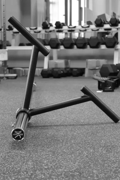 CFF Heavy Duty T-Bar Row Landmine Handle