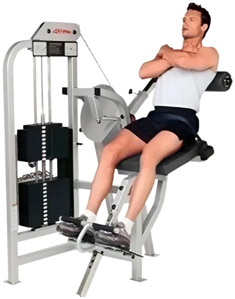 Life Fitness Pro 1 Lower Back Extension