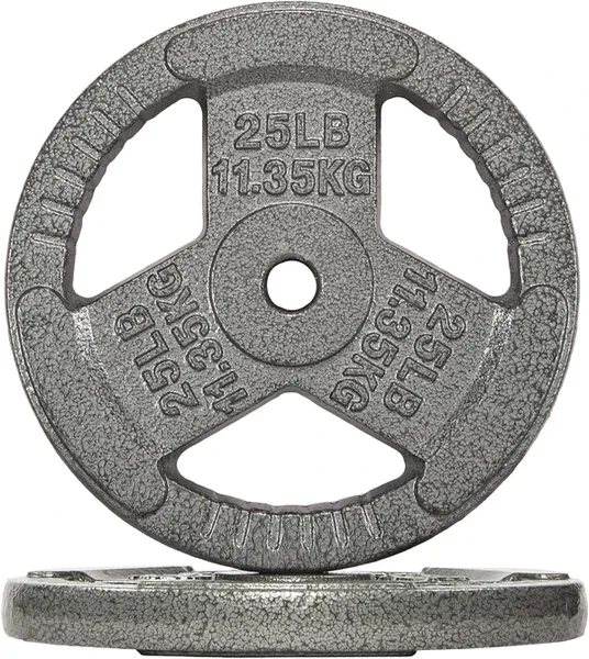 Fitvids 1” cast iron standard weight plate