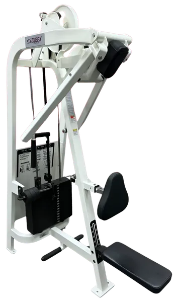 Cybex VR2 Dual Axis Row/Rear Delt