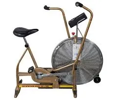 Schwinn Airdyne AD3