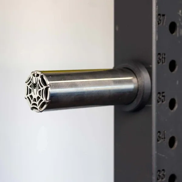 Stainless Steel Weight Horn