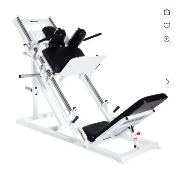 Leg press/ Hack squat