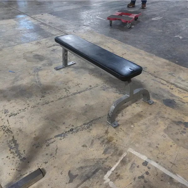 Cybex flat bench