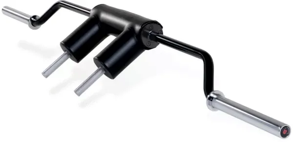 ETHOS Safety Squat Bar