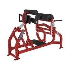 Fixed Pad Glute/Ham