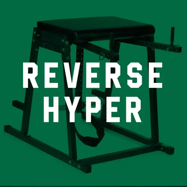 Reverse Hyper - Custom/DIY