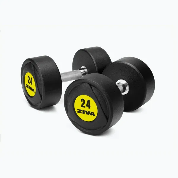 SL URETHANE DUMBBELL